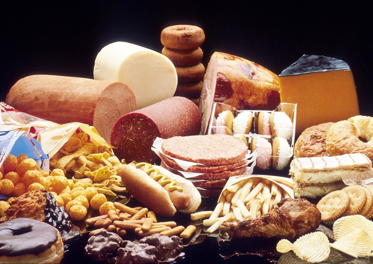 comidas ricas en grasas